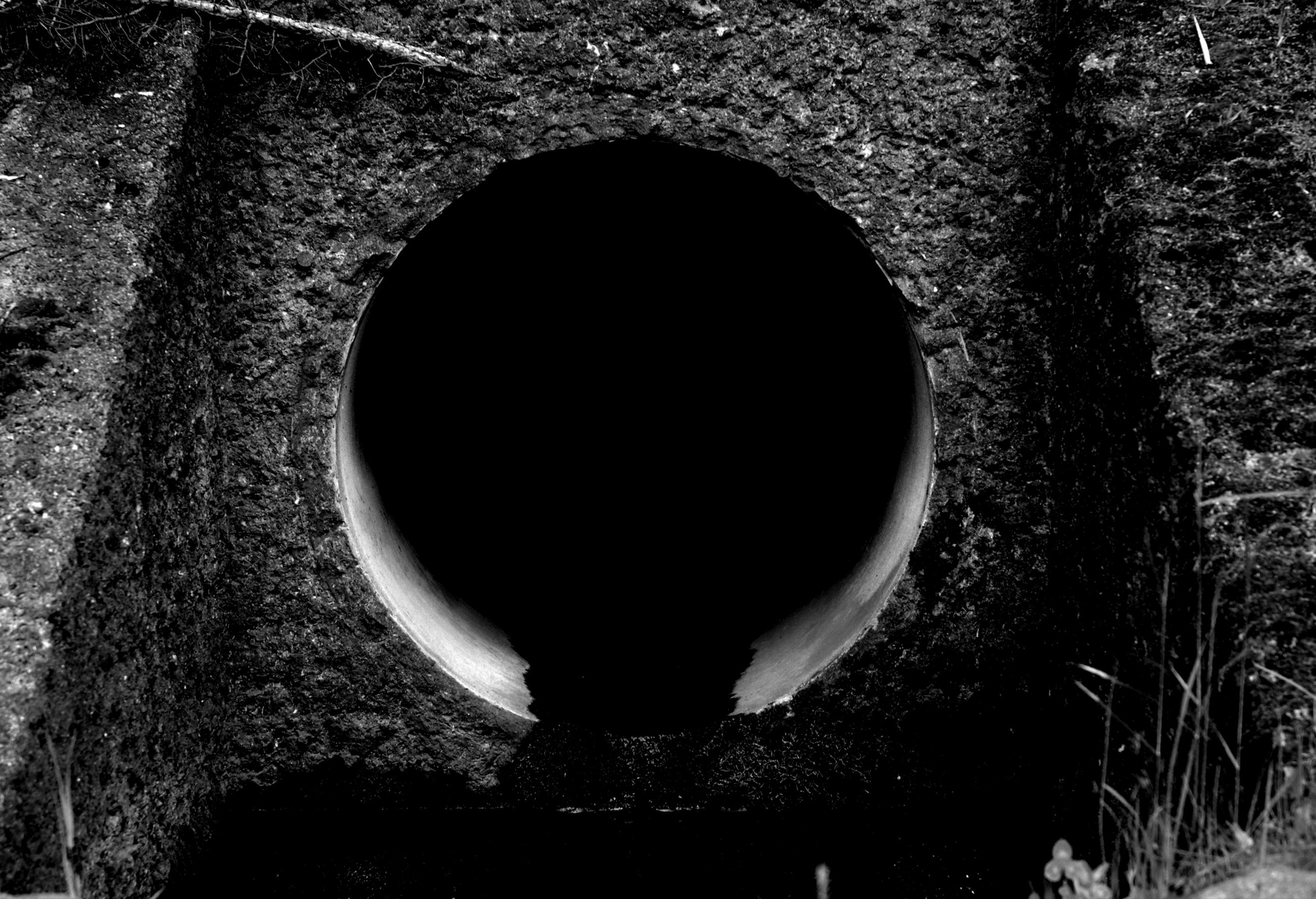 作品タイトル名